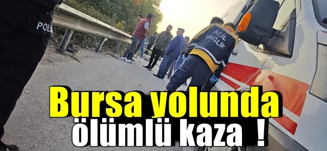 Bursa yolunda ölümlü kaza  !