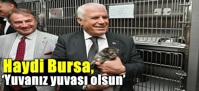 Haydi Bursa, ‘Yuvanız yuvası olsun’