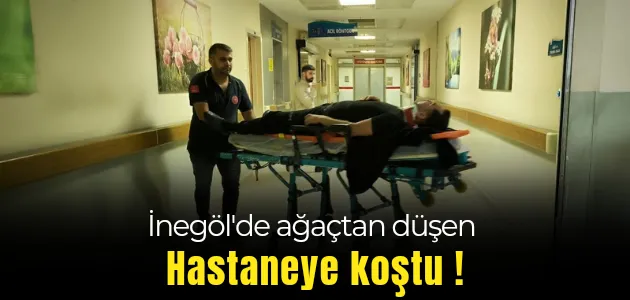 Bugün İnegöl’de ağaçtan düşen hastanelik oldu !