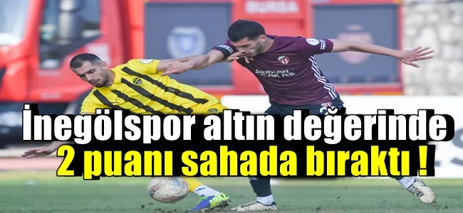 İnegölspor altın değerinde 2 puanı sahada bıraktı !