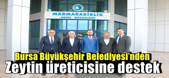 Bursa Büyükşehir Belediyesi’nden zeytin üreticisine destek