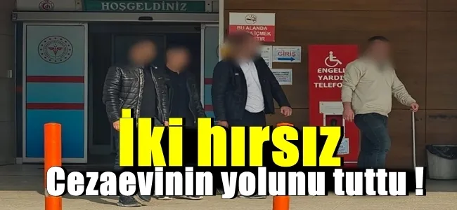 İki hırsız cezaevinin yolunu tuttu !