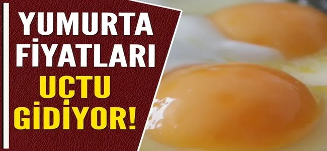 Yumurta fiyatları zirveye uçuyor!