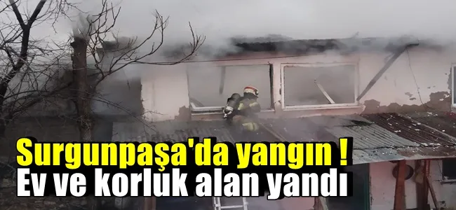 Sungurpaşa Mahallesi’nde Ev ve Koruluk Alan Yandı !