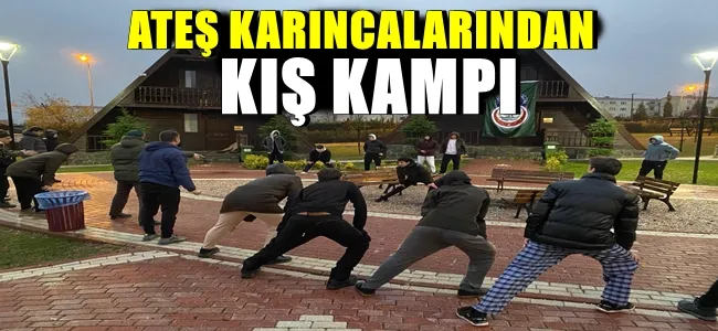 ATEŞ KARINCALARINDAN KIŞ KAMPI