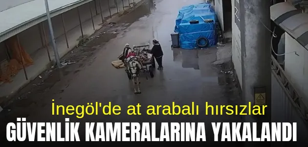 At Arabalı Hırsızlar Kameralara Yakalandı !