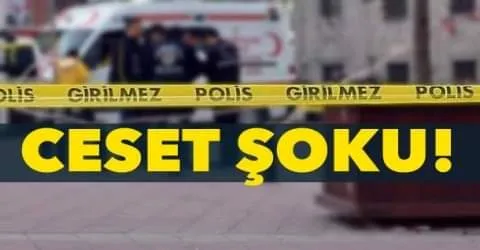 Ceset şoku!