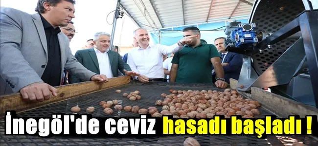 İnegöl’de Hedef 42 Bin Ton Ceviz