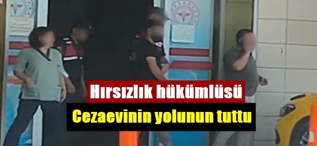 Hırsızlık hükümlüsü cezaevinin yolunu tuttu !