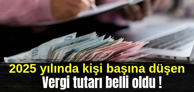 2025 yılında kişi başına düşen vergi tutarı hesaplandı !