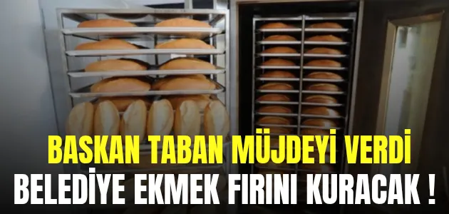 Alper Taban: 