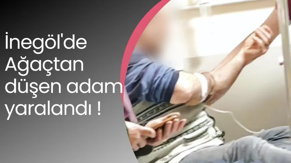 Ağaçtan düşen adam yaralandı !