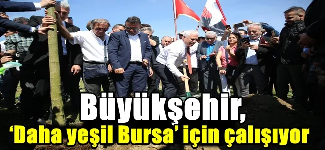 Büyükşehir, ‘Daha yeşil Bursa’ için çalışıyor