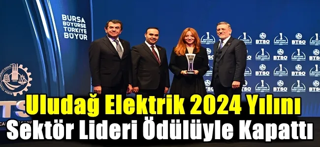 Uludağ Elektrik 2024 Yılını Sektör Lideri Ödülüyle Kapattı