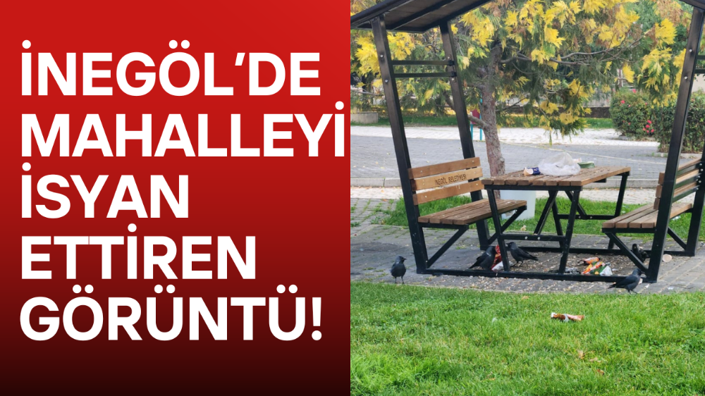 Park Alanı Çöplüğe Döndü Vatandaş Sorumsuz Kişilere İsyan Etti