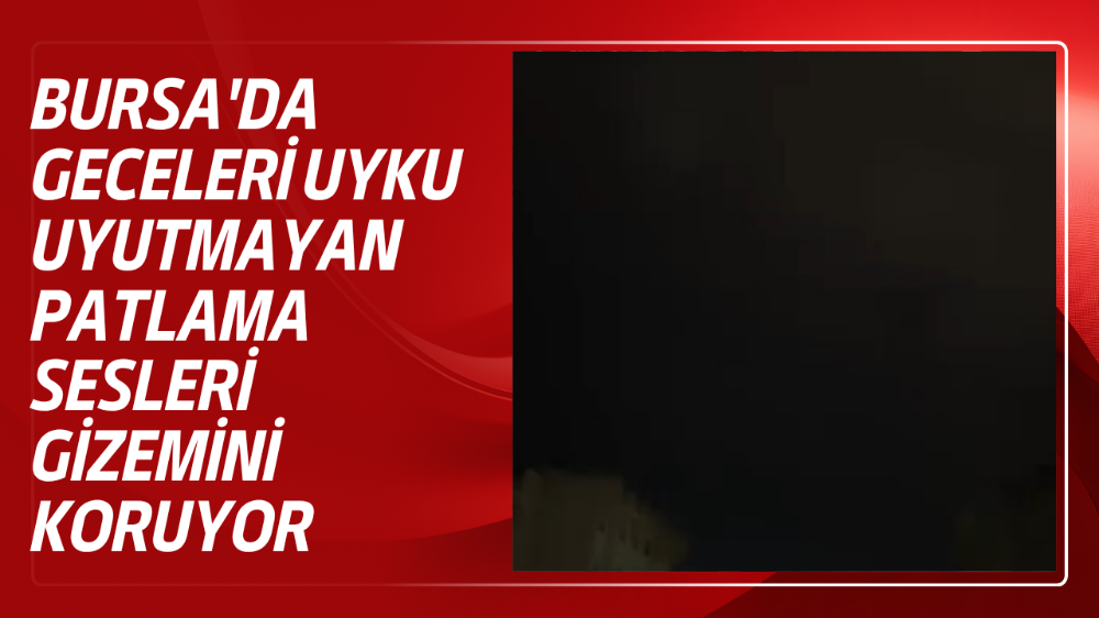 Bursa