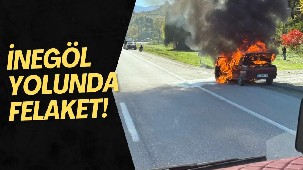 Domaniç yolunda seyir halindeki araç cayır cayır yandı !