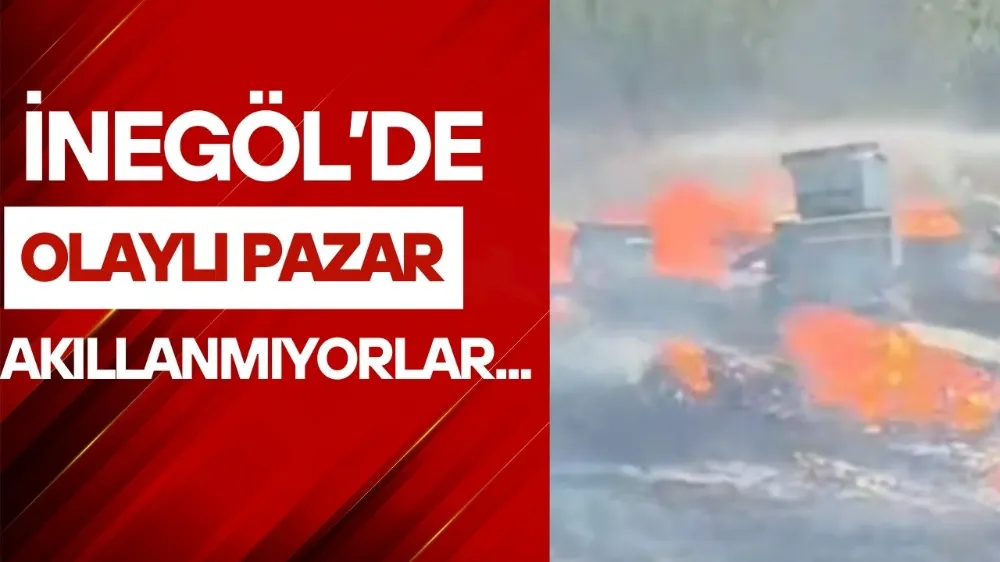 Anız yangını faciaya neden oldu!