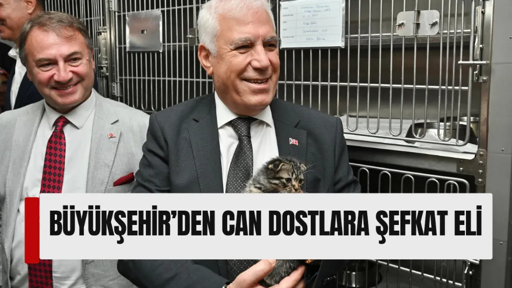 BÜYÜKŞEHİR’DEN CAN DOSTLARA ŞEFKAT ELİ