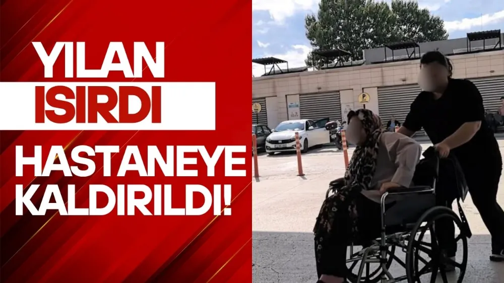 Piknik yaparken yılan ısırdı, hastaneye kaldırıldı