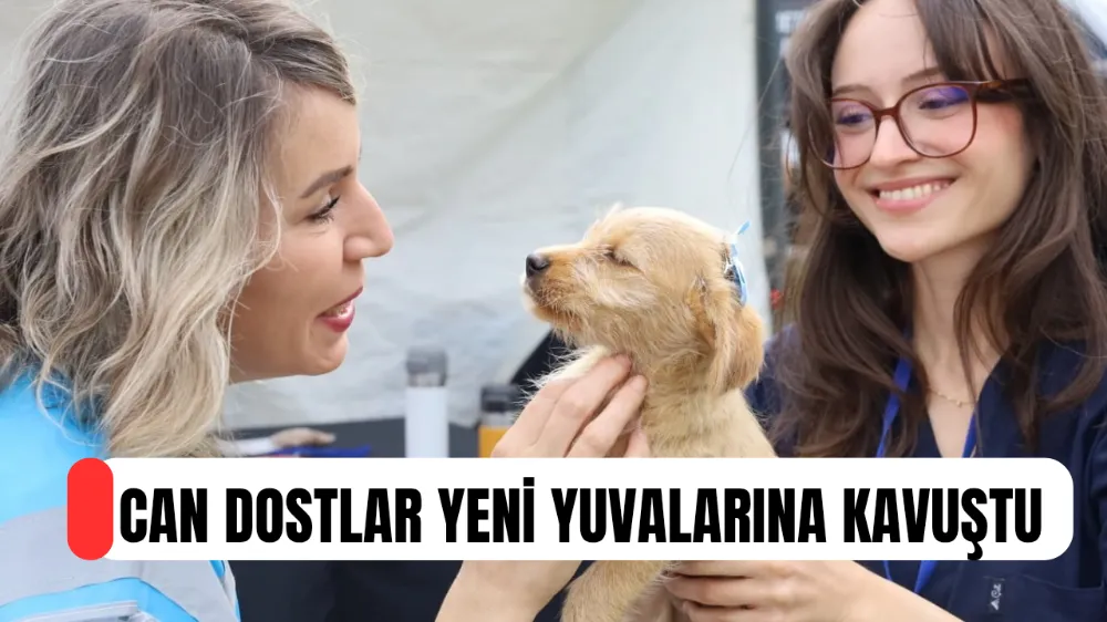 CAN DOSTLAR YENİ YUVALARINA KAVUŞTU