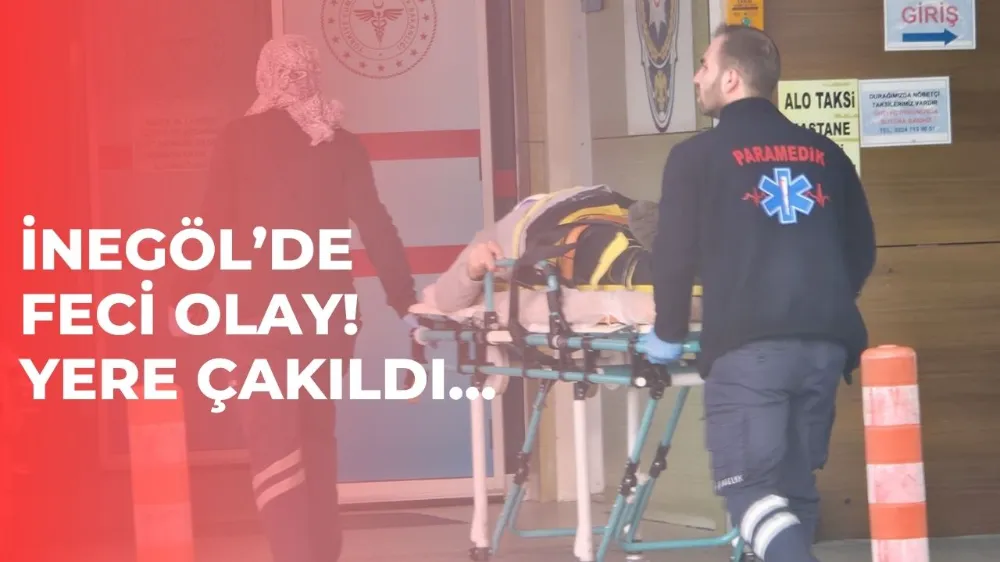 Ağaçtan düşen adam yaralandı !