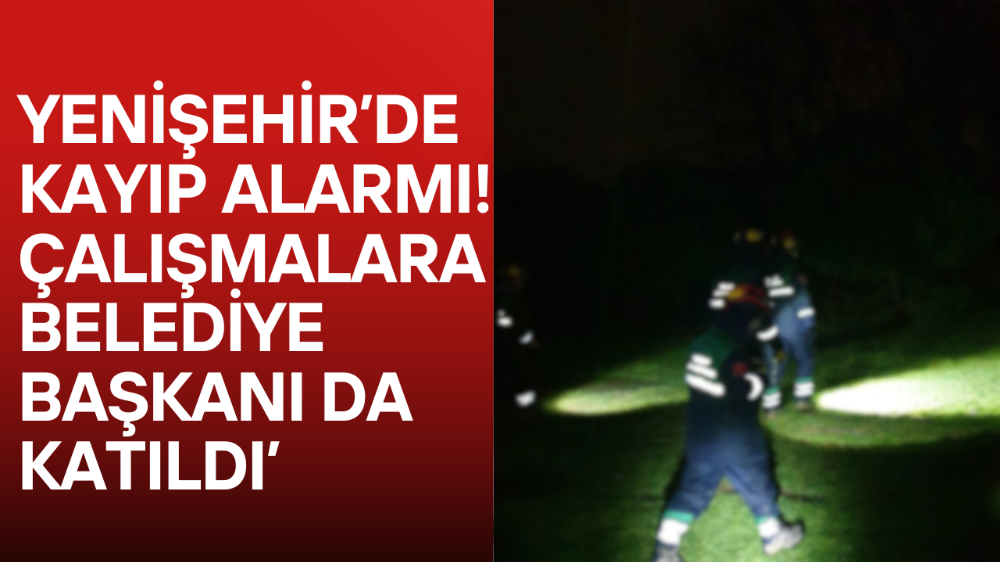 Mantar Toplamak İçin Ormana Gitti, Geri Dönmedi