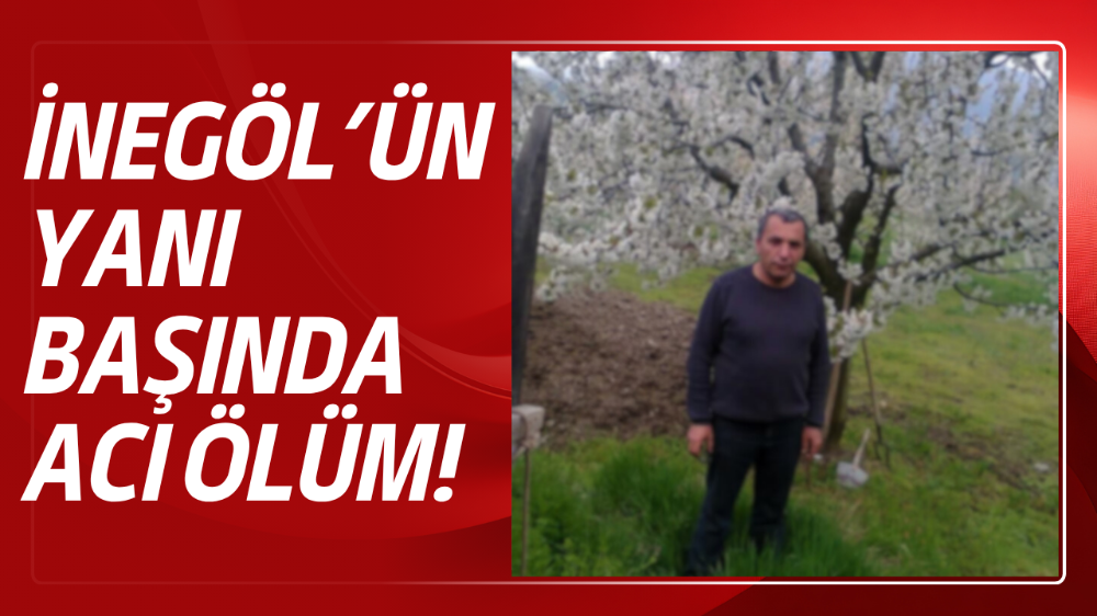 Budadığı ağaçtan düşen adam hayatını kaybetti