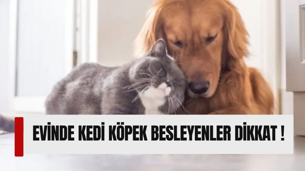İnegöl Belediyesi’nden Evinde Kedi-Köpek Besleyenlere Mikroçip Uyarısı