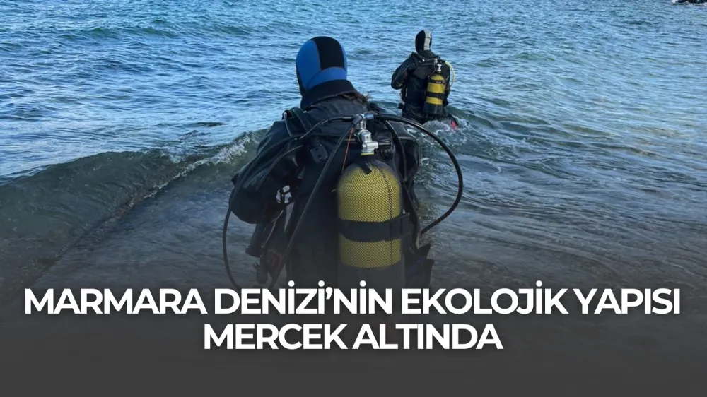 MARMARA DENİZİ’NİN EKOLOJİK YAPISI MERCEK ALTINDA