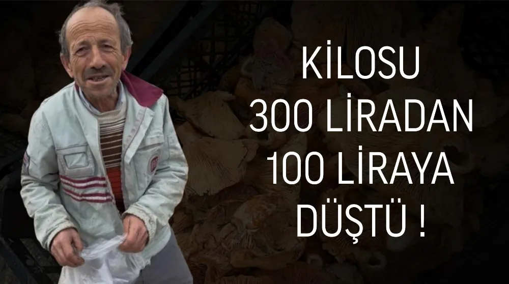 Dağ İlçelerinde Kanlıca (Melki) Mantarının Kilosu 100 Liraya Kadar Düştü