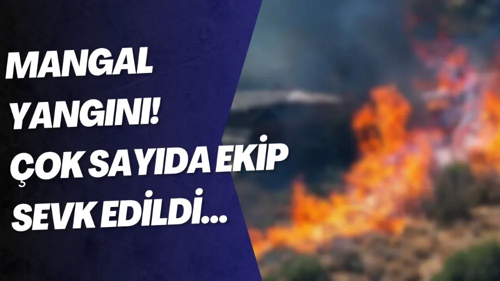 Mangal yangını! 