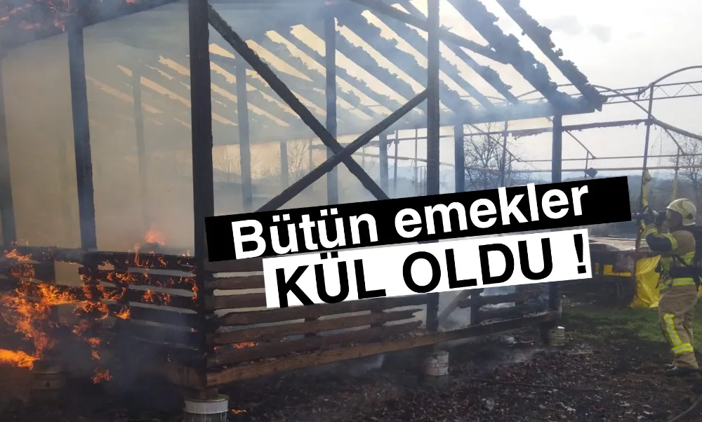 Tüm emekler kül oldu !