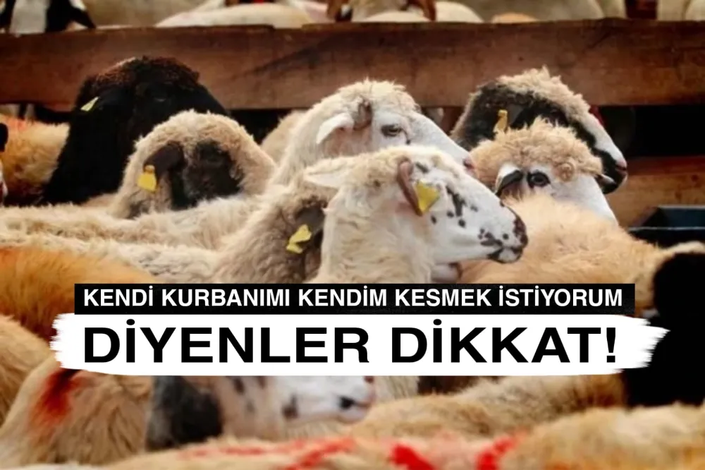 Kurban Kesim Kursu Kayıtları Başladı
