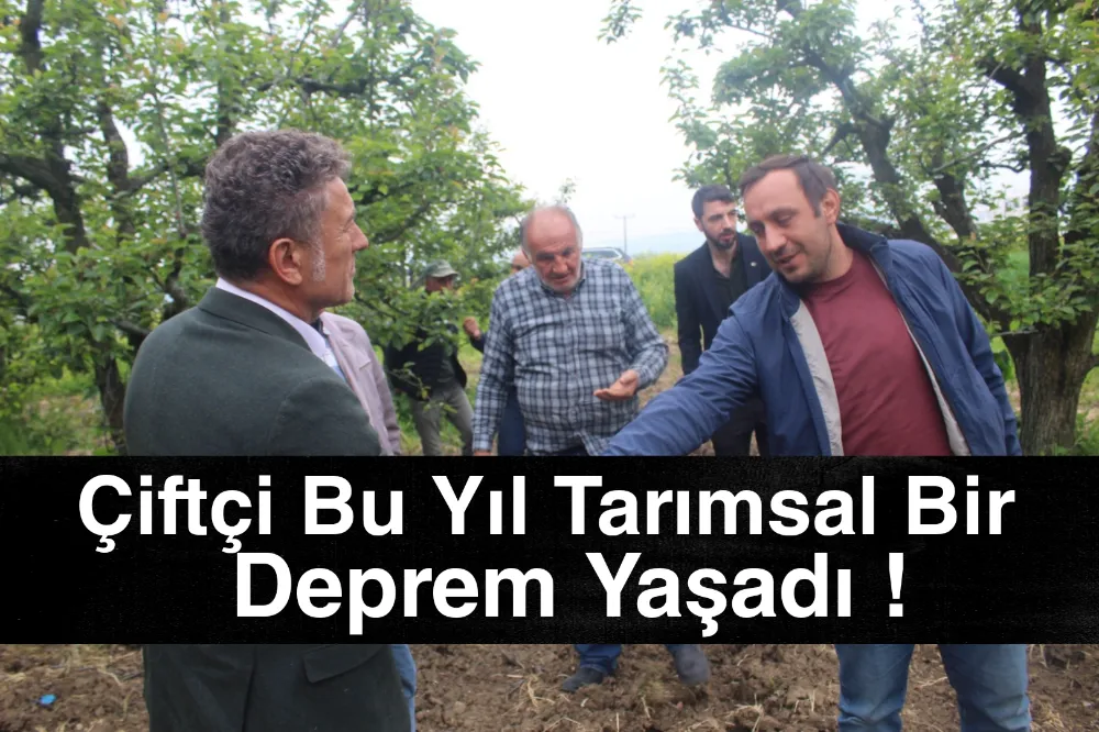 CHP Bursa Milletvekili Orhan Sarıbal: 