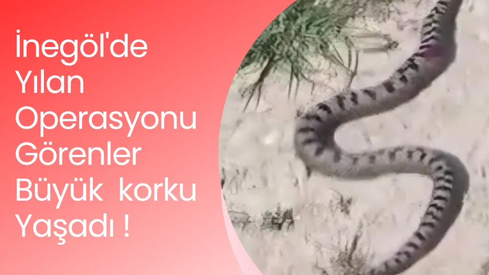 İnegöl