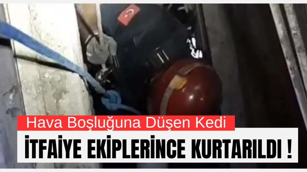 Hava Boşluğuna Düşen Kedi İtfaiye Ekiplerince Kurtarıldı