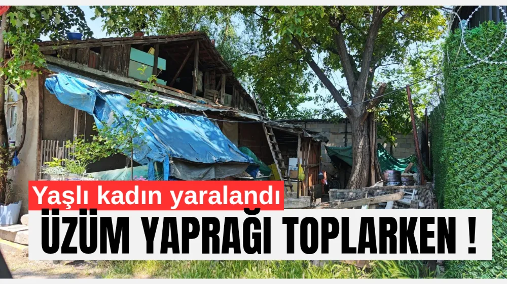 Çatıdan Düşen Kadın Yaralandı