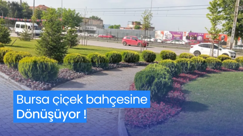 Bursa çiçek bahçesine dönüşüyor