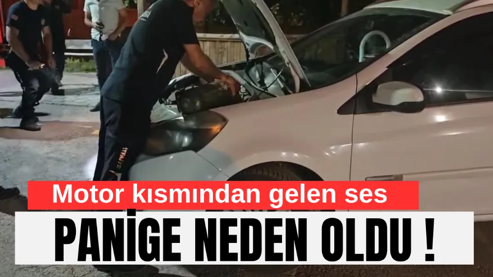 Motor kısmından gelen ses paniğe neden oldu: Kediyi itfaiye kurtardı