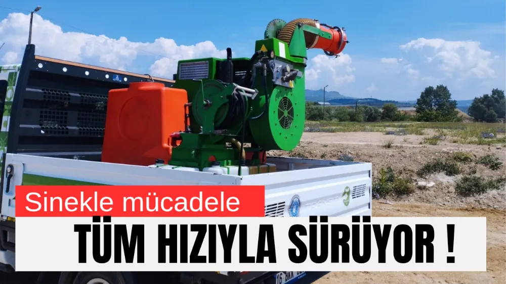 Sinekle mücadele tüm hızıyla sürüyor