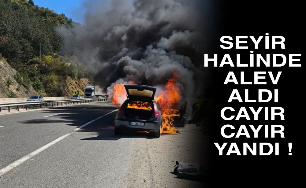 Cayır cayır yanıp küle döndü !