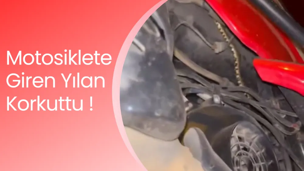 Motosiklete Giren Yılan Korkuttu: İtfaiye Erinden Cesur Müdahale