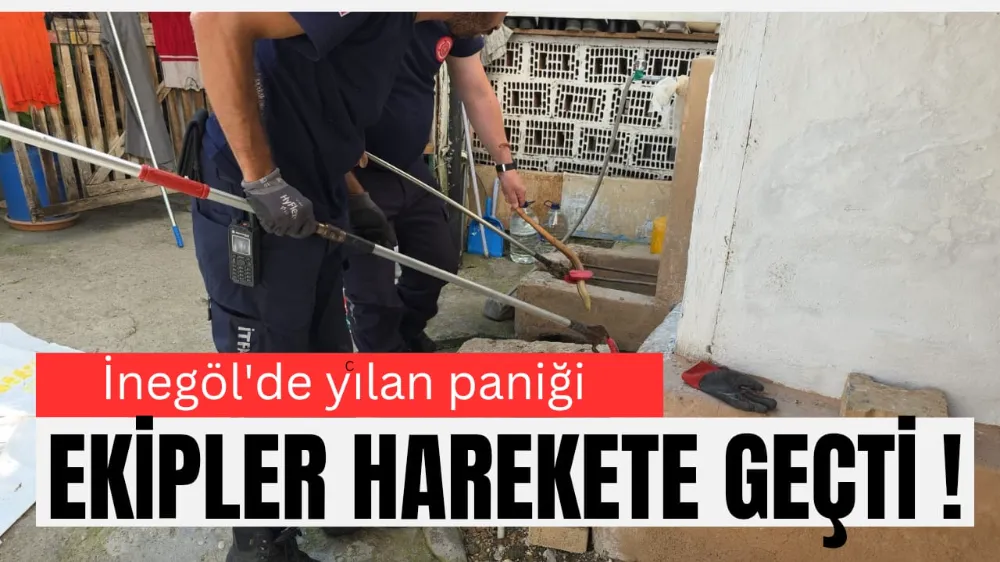 İnegölde yılan ihbarı ekipleri harekete geçirdi 