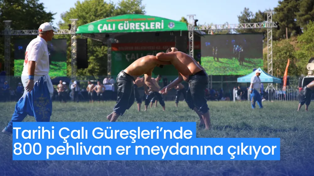 Tarihi Çalı Güreşleri’nde 800 pehlivan er meydanına çıkıyor