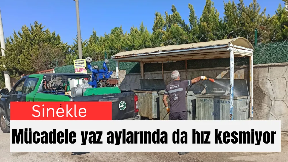 Sinekle mücadele yaz aylarında da hız kesmiyor