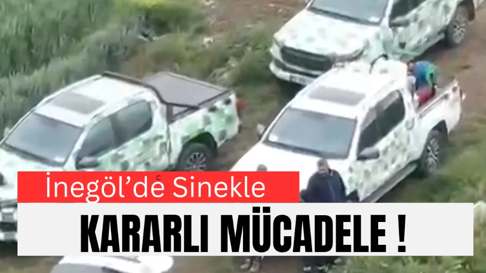 İnegöl’de Sinekle Kararlı Mücadele Sürüyor!