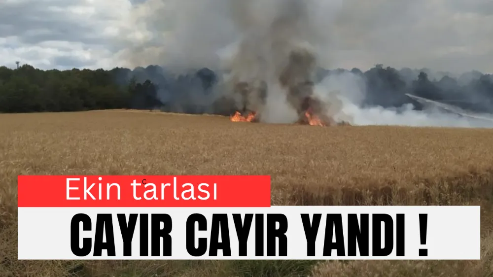 Korkutan Yangın: 30 Dönüm Arazi Kül Oldu