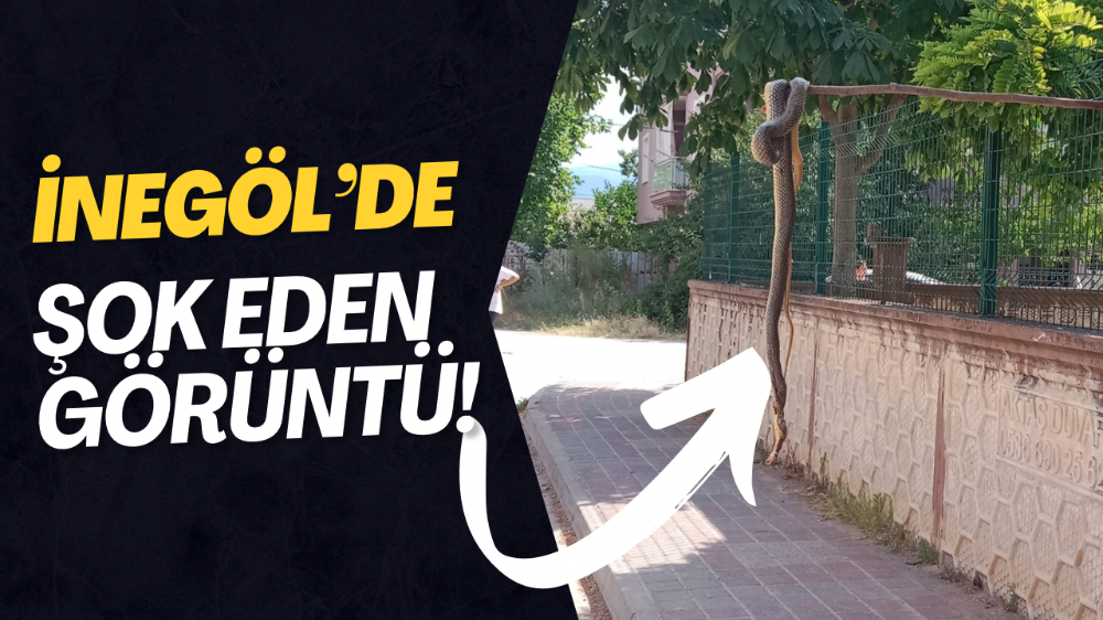 İNEGÖL’DE GÖRENLER GÖZLERİNE İNANAMADI! 