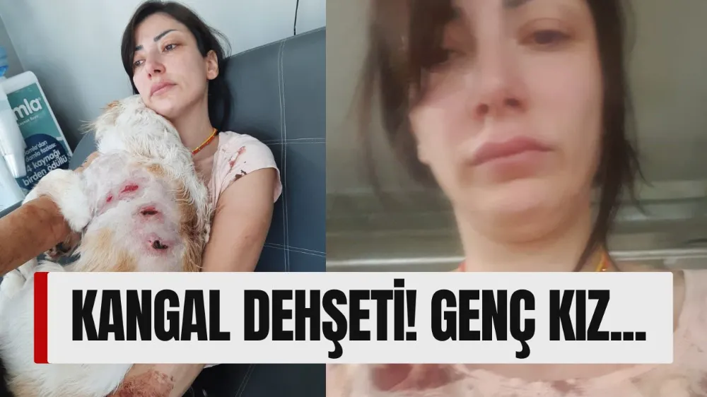 Bursa
